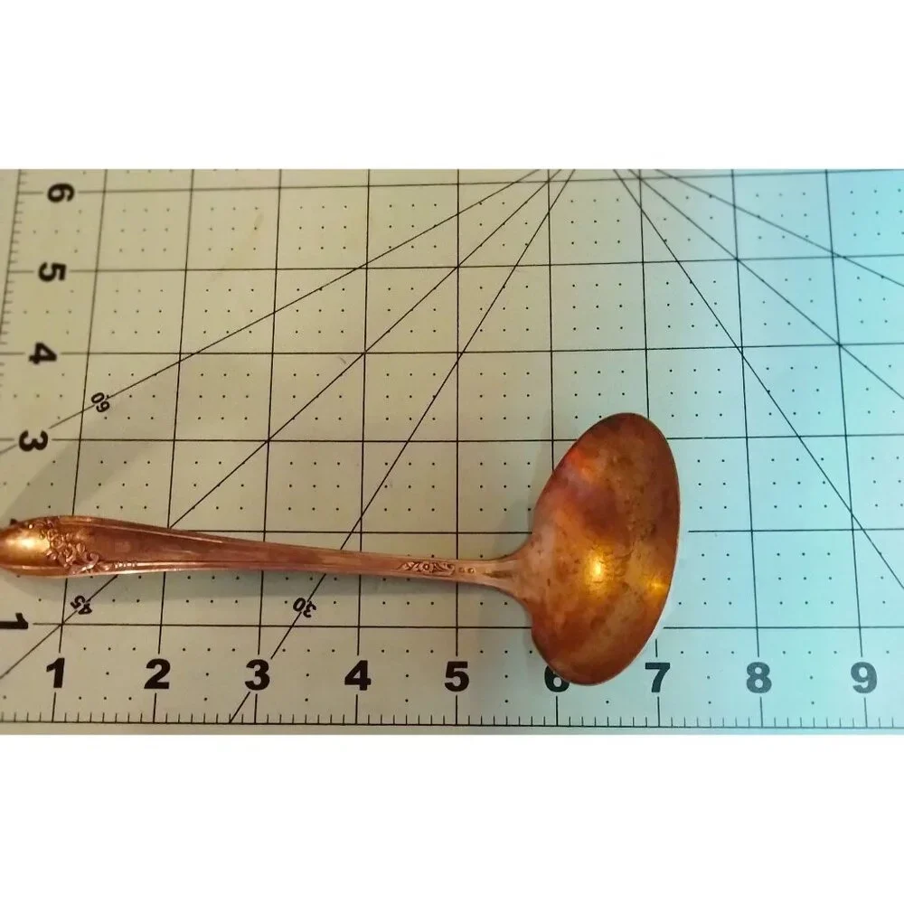 Tudor Plate Oneida Community Gravy Ladle Silver Plated Floral Pattern